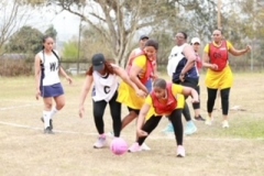 image38