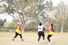 image41