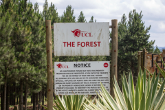 KZNL_HomeSlider_0007_674d0790-4911-4b39-91e6-9fdc828180e6