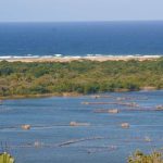 KZN Legislators to Conduct Oversight Visit at The Fish Processing Facility in Kosi Bay